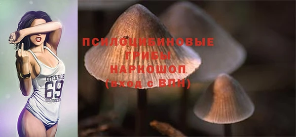 прущая мука Медногорск