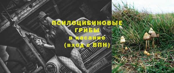 прущая мука Медногорск