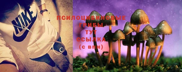 метадон Медвежьегорск