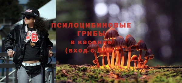 метадон Медвежьегорск